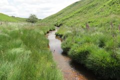 10a.-Below-Little-Ashcombe-downstream-from-Ravens-nest-10