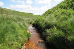 10a.-Below-Little-Ashcombe-downstream-from-Ravens-nest-13