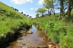 10a.-Below-Little-Ashcombe-downstream-from-Ravens-nest-2