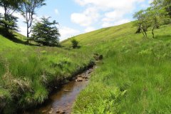 10a.-Below-Little-Ashcombe-downstream-from-Ravens-nest-7
