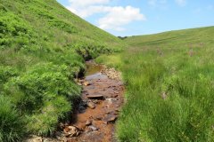 11.-Below-Little-Ashcombe-upstream-from-Warrens-Bridge-1