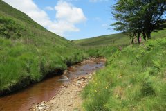 11.-Below-Little-Ashcombe-upstream-from-Warrens-Bridge-6