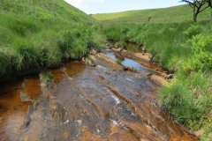 11.-Below-Little-Ashcombe-upstream-from-Warrens-Bridge-7