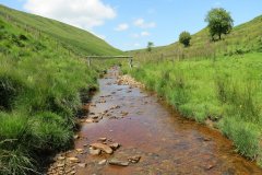 11a.-Upstream-from-Warrens-Bridge-24