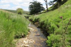 8.-Downstream-from-Ravens-Nest-5