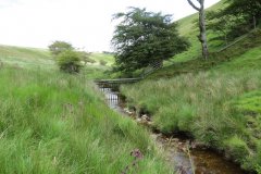 8.-Downstream-from-Ravens-Nest-6