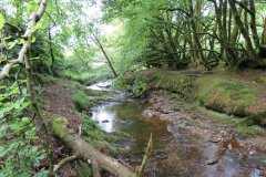 1.-Upstream-from-Warren-Bridge