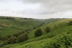 11.-Exe-Valley-from-Three-Combe-Hill-looking-downstream-2