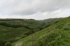 11.-Exe-Valley-from-Three-Combe-Hill-looking-downstream-3