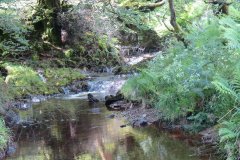 12.-Downstream-from-Warren-Bridge-below-Three-Combe-Hill-1