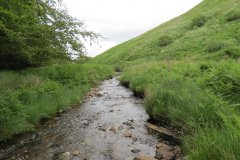 12.-Downstream-from-Warren-Bridge-below-Three-Combe-Hill-10