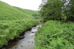 12.-Downstream-from-Warren-Bridge-below-Three-Combe-Hill-11