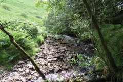 12.-Downstream-from-Warren-Bridge-below-Three-Combe-Hill-12