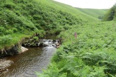 12.-Downstream-from-Warren-Bridge-below-Three-Combe-Hill-14