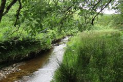 12.-Downstream-from-Warren-Bridge-below-Three-Combe-Hill-15