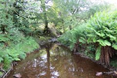 12.-Downstream-from-Warren-Bridge-below-Three-Combe-Hill-2