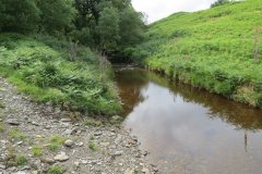 12.-Downstream-from-Warren-Bridge-below-Three-Combe-Hill-4