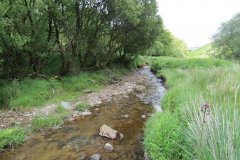 12.-Downstream-from-Warren-Bridge-below-Three-Combe-Hill-6