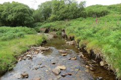 12.-Downstream-from-Warren-Bridge-below-Three-Combe-Hill-7