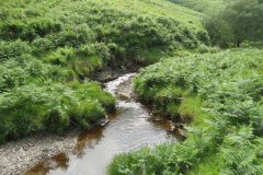 12.-Downstream-from-Warren-Bridge-below-Three-Combe-Hill-8