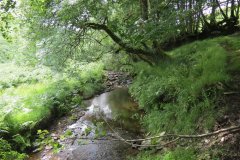 13.-Flowing-through-Exe-Cleave-upstream-from-Warren-Bridge-1
