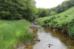 13.-Flowing-through-Exe-Cleave-upstream-from-Warren-Bridge-15