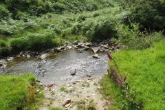 13.-Flowing-through-Exe-Cleave-upstream-from-Warren-Bridge-3