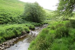 13.-Flowing-through-Exe-Cleave-upstream-from-Warren-Bridge-4