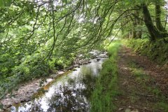 13.-Flowing-through-Exe-Cleave-upstream-from-Warren-Bridge-5