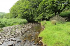 13.-Flowing-through-Exe-Cleave-upstream-from-Warren-Bridge-6