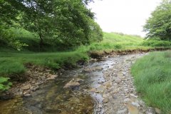 13.-Flowing-through-Exe-Cleave-upstream-from-Warren-Bridge-7