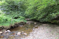 13.-Flowing-through-Exe-Cleave-upstream-from-Warren-Bridge-8