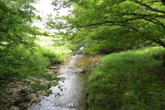 13.-Flowing-through-Exe-Cleave-upstream-from-Warren-Bridge-9