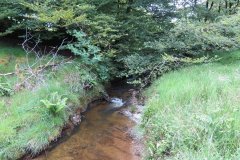 14.-Flowing-through-Exe-Cleave-below-Ware-Ball-11