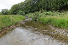 15.-Flowing-beneath-Ware-Ball-upstream-from-Westermill-1