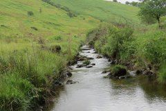 15.-Flowing-beneath-Ware-Ball-upstream-from-Westermill-13