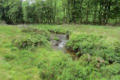 15.-Flowing-beneath-Ware-Ball-upstream-from-Westermill-15
