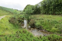 15.-Flowing-beneath-Ware-Ball-upstream-from-Westermill-16