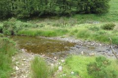 15.-Flowing-beneath-Ware-Ball-upstream-from-Westermill-2