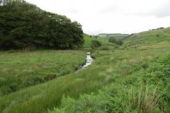 15.-Flowing-beneath-Ware-Ball-upstream-from-Westermill-6