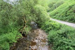 5.-Looking-downstream-from-Warren-Bridge