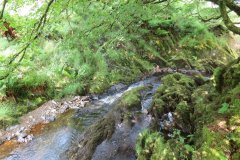 6.-Downstream-from-Warren-Bridge-1