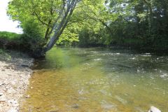 1.-Downstream-from-A361-Bridge-13