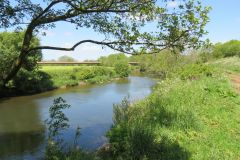 1.-Downstream-from-A361-Bridge-6