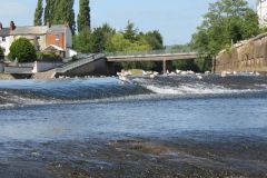 11.-Weir-downstream-from-Bridge-Street-Bridge-4