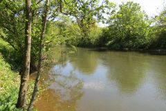 5-Downstream-from-Kennedy-Way-Bridge-6