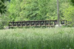 15.-Disused-rail-bridge-upstream-from-Bickleigh-Bridge-1