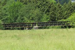 15.-Disused-rail-bridge-upstream-from-Bickleigh-Bridge-2
