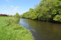 3.-Downstream-from-GWR-bridge-3