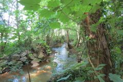 4.-River-Lowman-joins-the-River-Exe-2